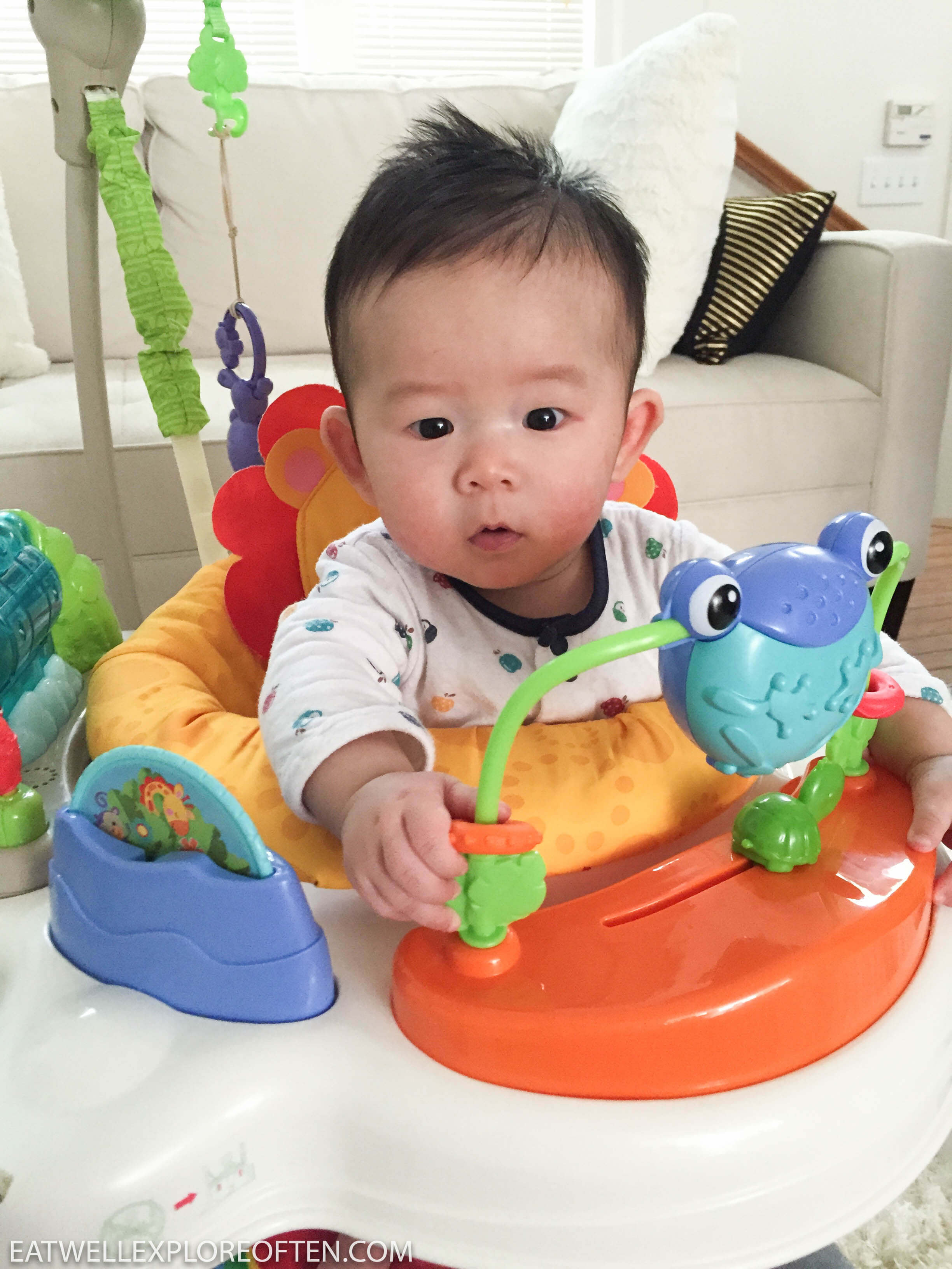 rainforest friends jumperoo