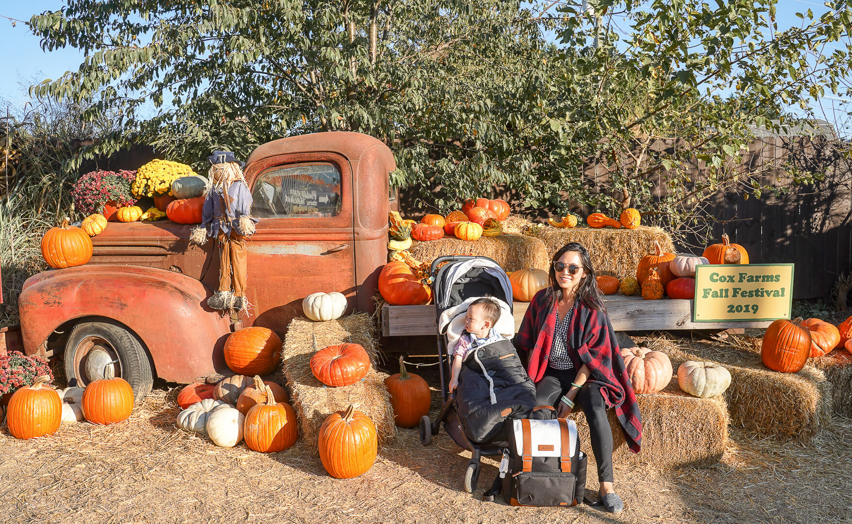 Eat Well, Explore Often - Best Pumpkin Patches Near D.C., Maryland ...